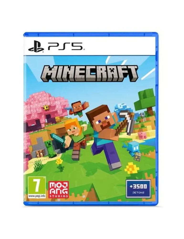 Minecraft ps5 Game zone
