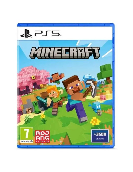 Minecraft ps5 Game zone